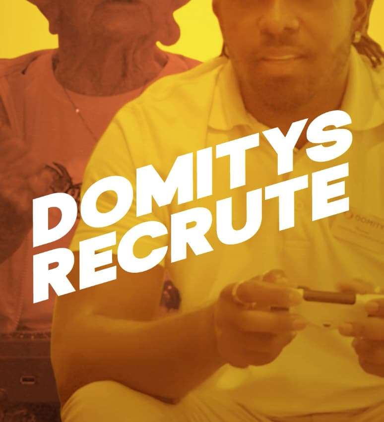 Domitys